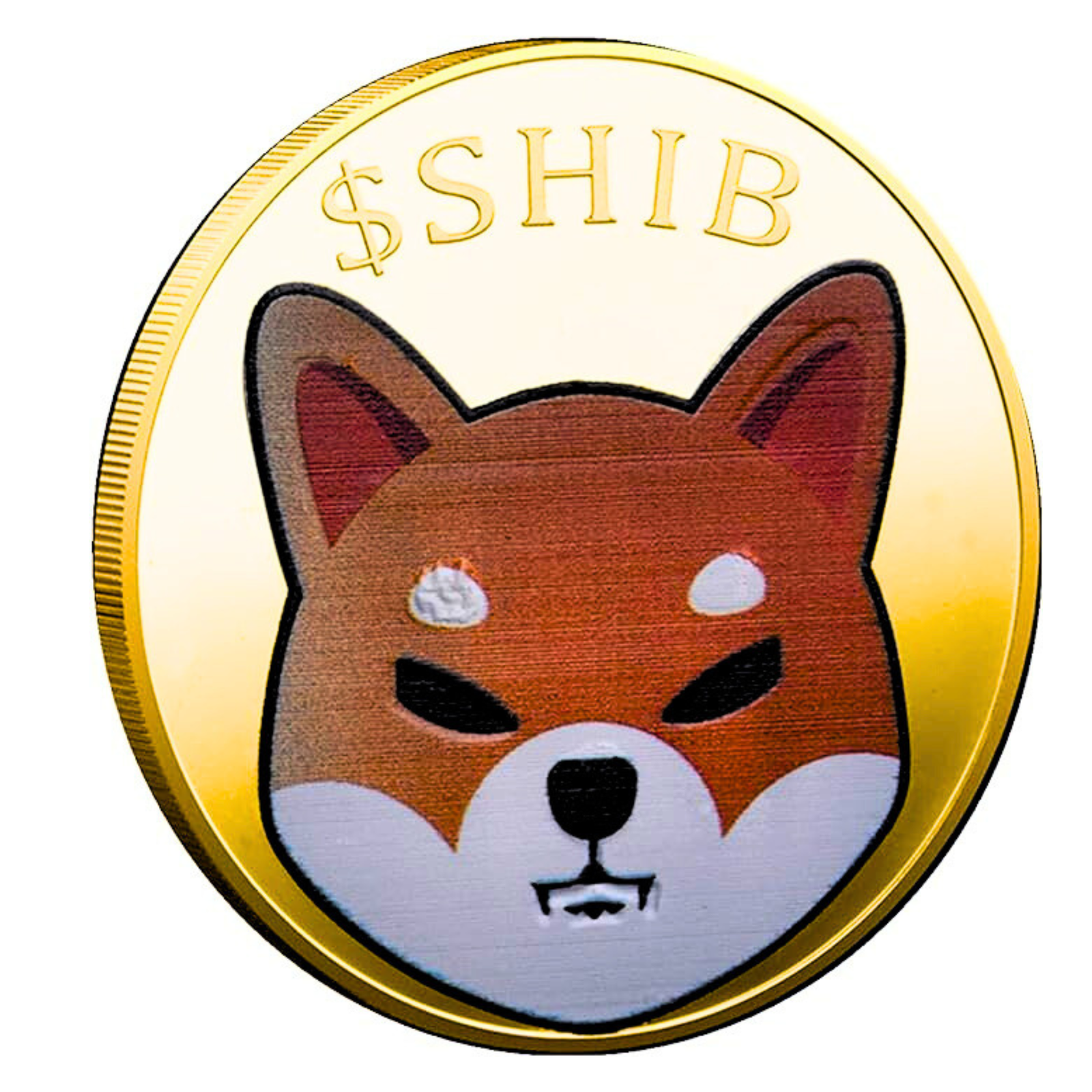 Kirpi SHIB Collectible Kirpi Shiba Inu Coin Set - Gold & Silver Plated  Crypto Souvenir With Cases Cryptocurrency Souvenir Coin